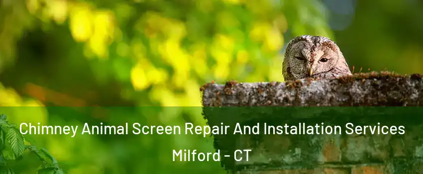  Chimney Animal Screen Repair And Installation Services Milford - CT