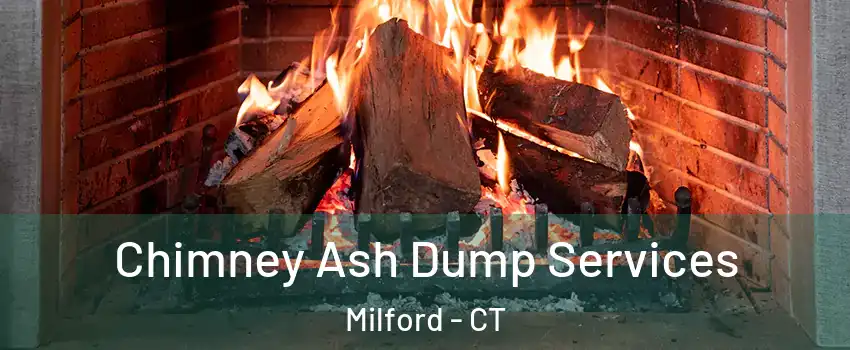 Chimney Ash Dump Services Milford - CT