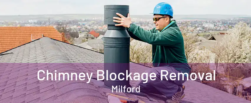 Chimney Blockage Removal Milford