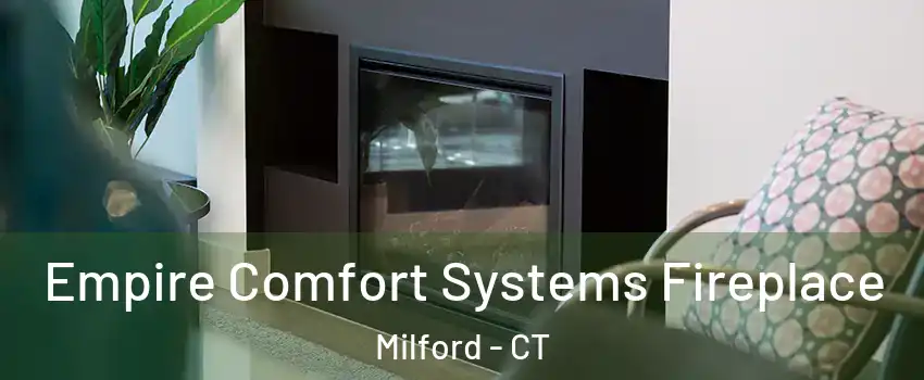  Empire Comfort Systems Fireplace Milford - CT