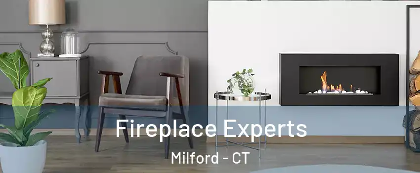  Fireplace Experts Milford - CT