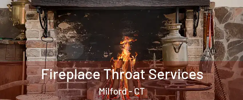  Fireplace Throat Services Milford - CT