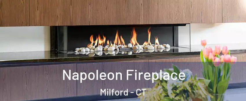 Napoleon Fireplace Milford - CT
