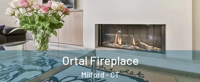 Ortal Fireplace Milford - CT