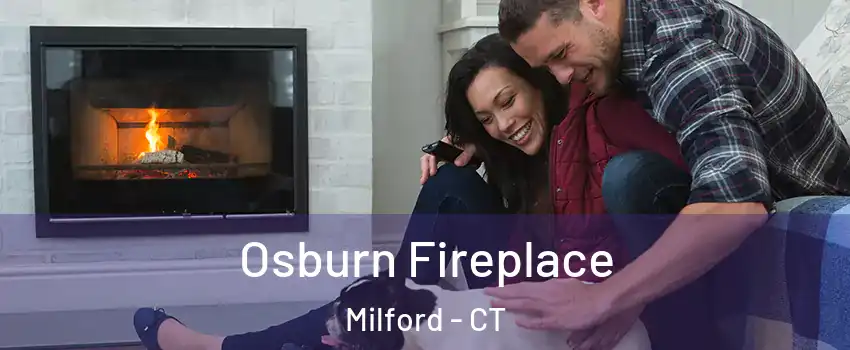  Osburn Fireplace Milford - CT